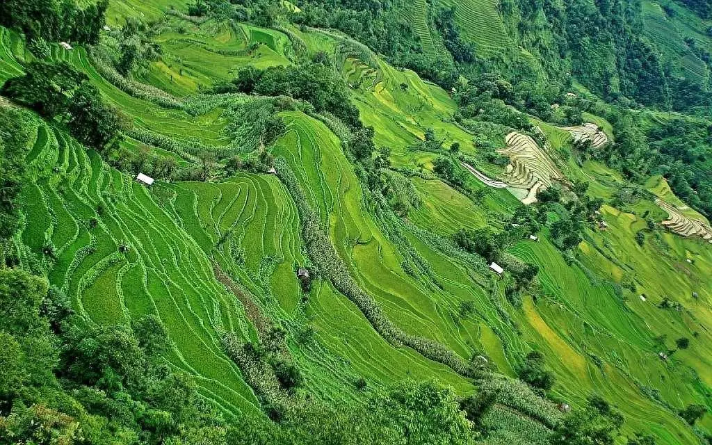 元阳梯田最佳旅游时间_元阳梯田最佳旅游时间_元阳梯田最佳旅游时间