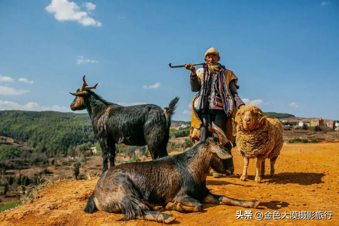 元阳梯田最佳旅游时间_元阳梯田游玩多长时间_元阳梯田什么时候去