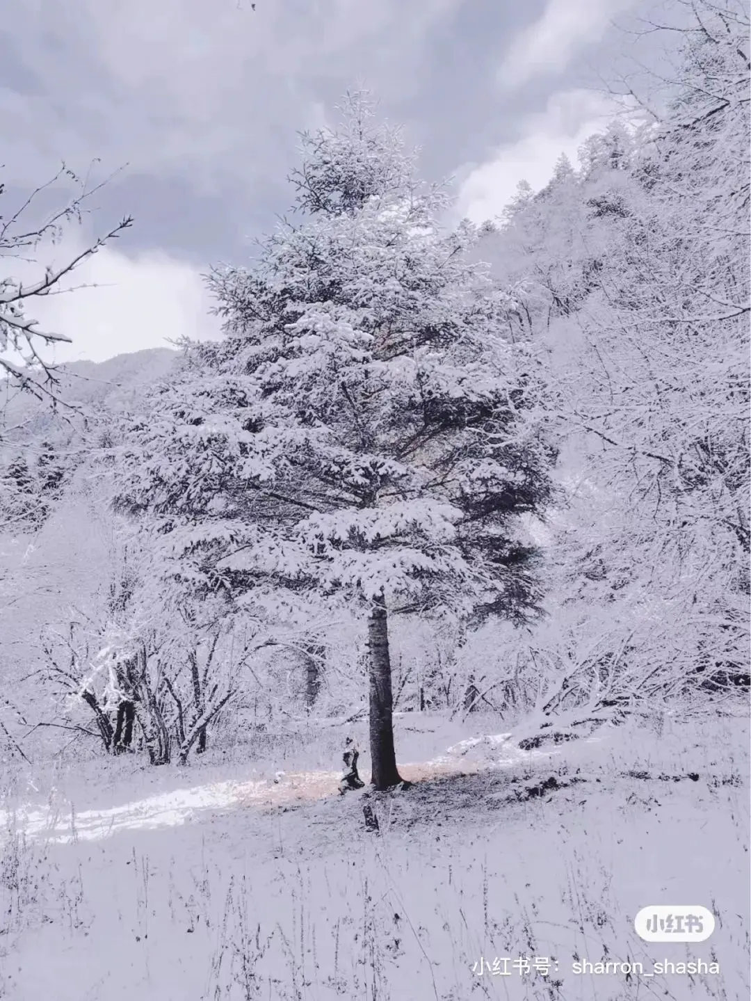 峨眉山地图高清版旅游地图_峨眉山地图高清版高清晰_峨眉山地图