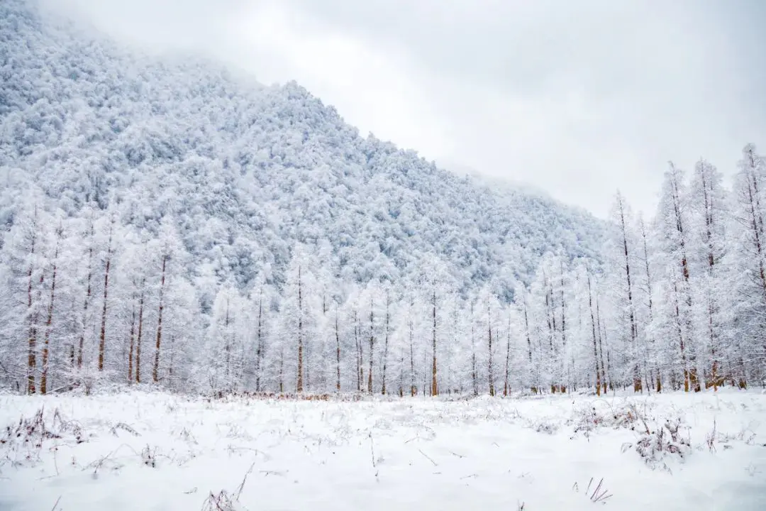 峨眉山地图高清版旅游地图_峨眉山地图高清版高清晰_峨眉山地图