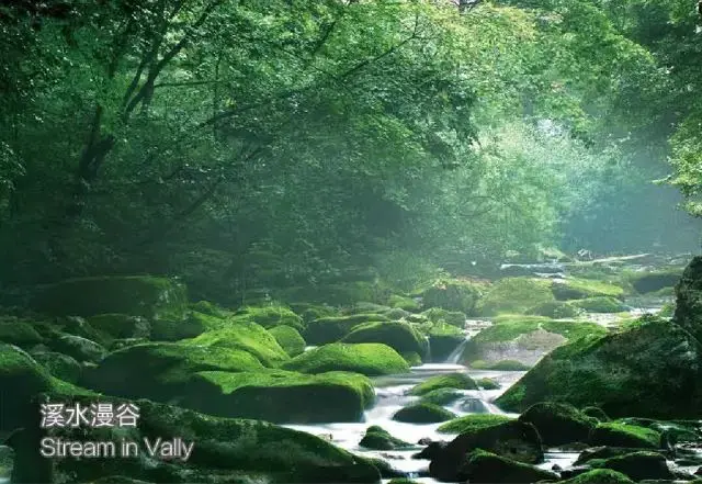 五一山东省内自驾游最佳去处_五一自驾游旅游山东最佳去处_五一去哪玩山东省内自驾游