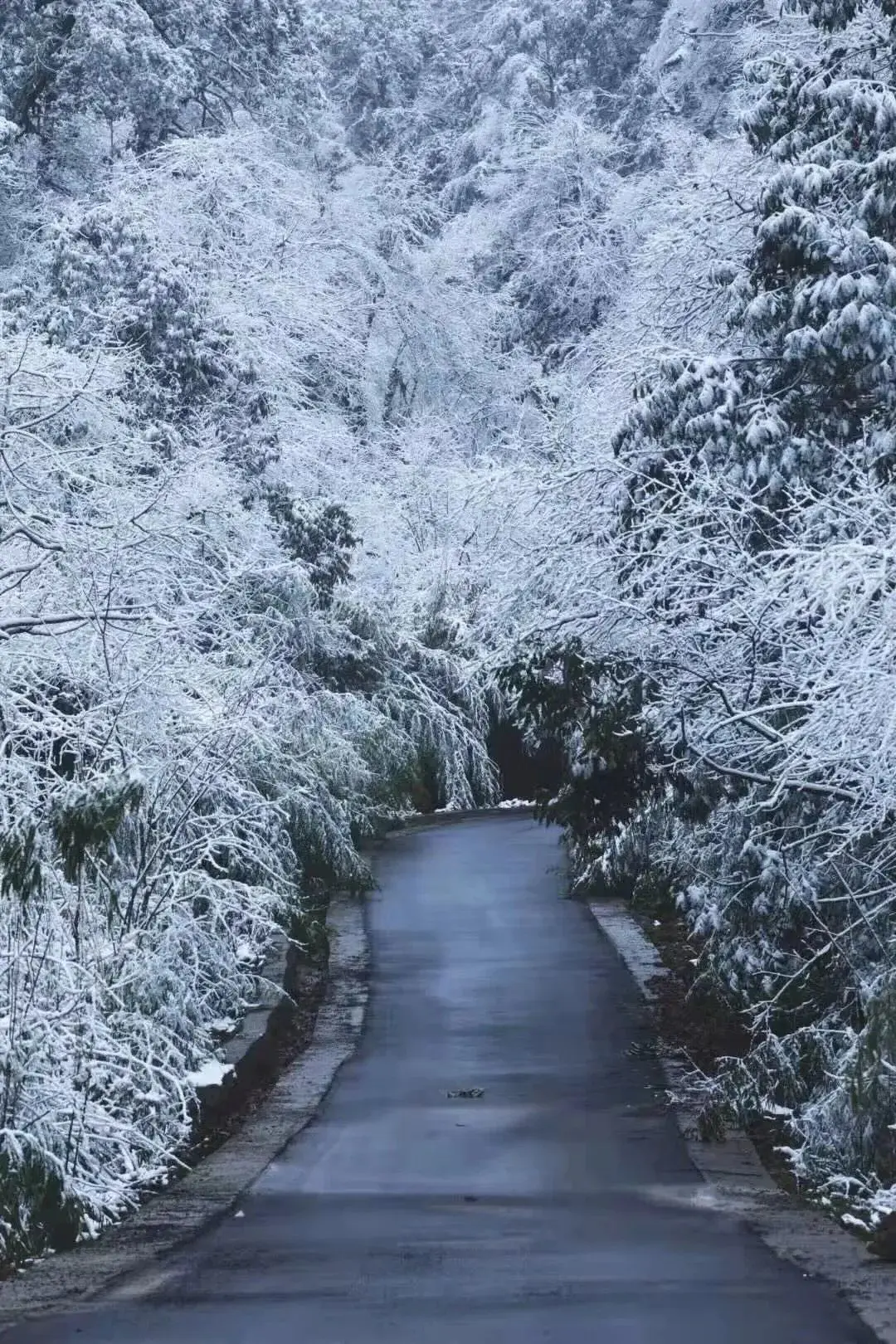 峨眉山地图_峨眉山地图高清版旅游地图_峨眉山地图高清版高清晰