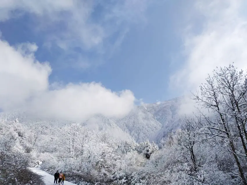 峨眉山地图_峨眉山地图高清版旅游地图_峨眉山地图高清版高清晰