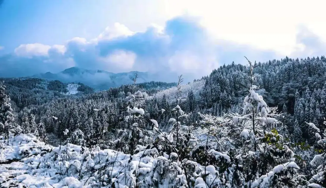 峨眉山地图高清版旅游地图_峨眉山地图高清版高清晰_峨眉山地图