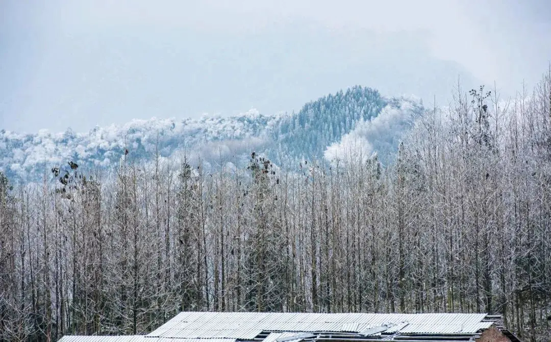 峨眉山地图高清版旅游地图_峨眉山地图_峨眉山地图高清版高清晰