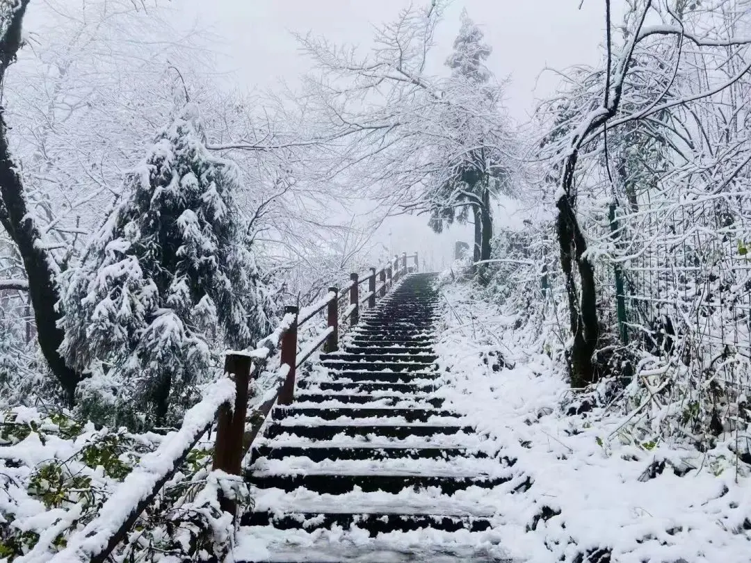 峨眉山地图高清版旅游地图_峨眉山地图高清版高清晰_峨眉山地图