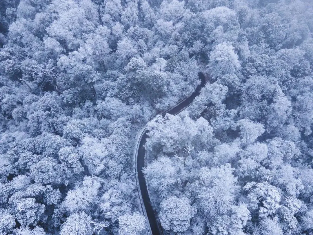 峨眉山地图高清版高清晰_峨眉山地图高清版旅游地图_峨眉山地图