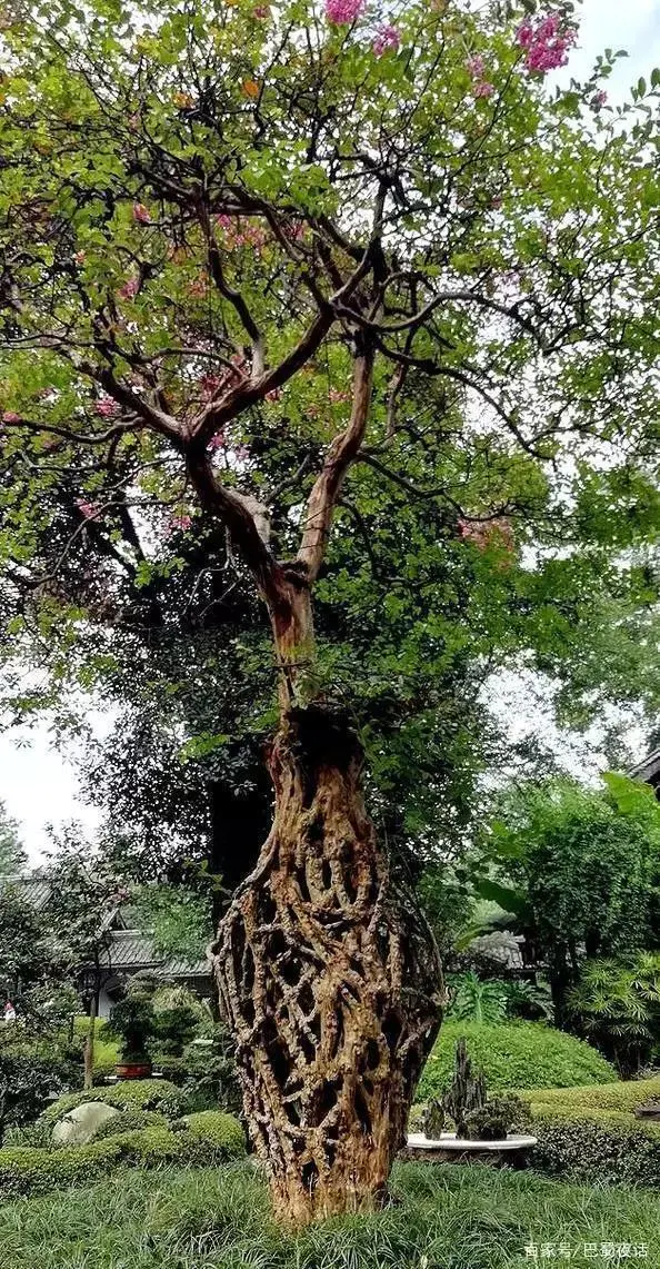 修建都江堰年代时候是哪个朝代_修建都江堰的时间_都江堰的修建年代是什么时候