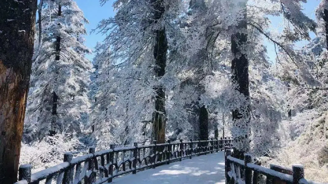 峨眉山地图_峨眉山地图高清版高清晰_峨眉山地图高清版旅游地图