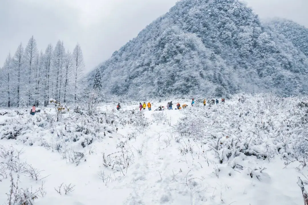 峨眉山地图高清版高清晰_峨眉山地图高清版旅游地图_峨眉山地图