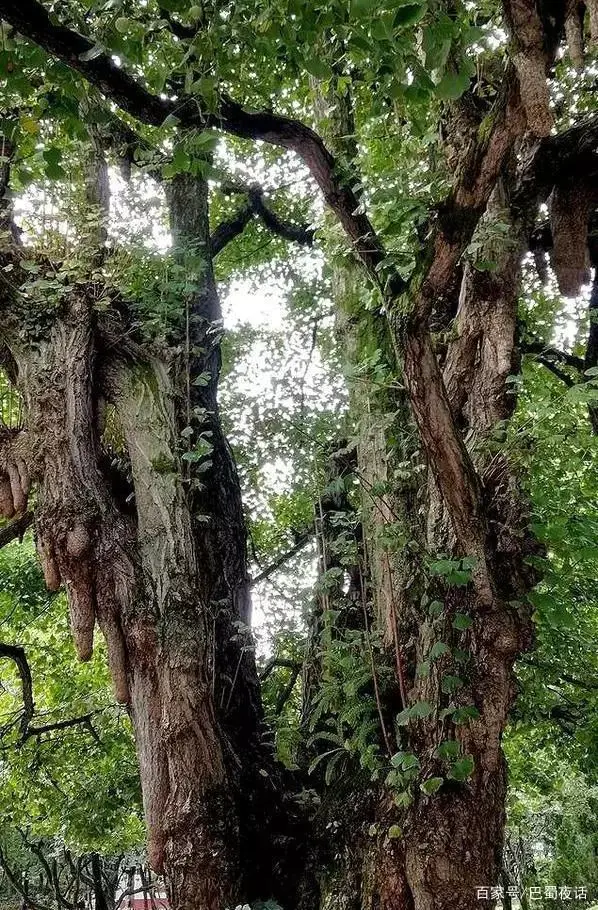 修建都江堰的时间_修建都江堰年代时候是哪个朝代_都江堰的修建年代是什么时候