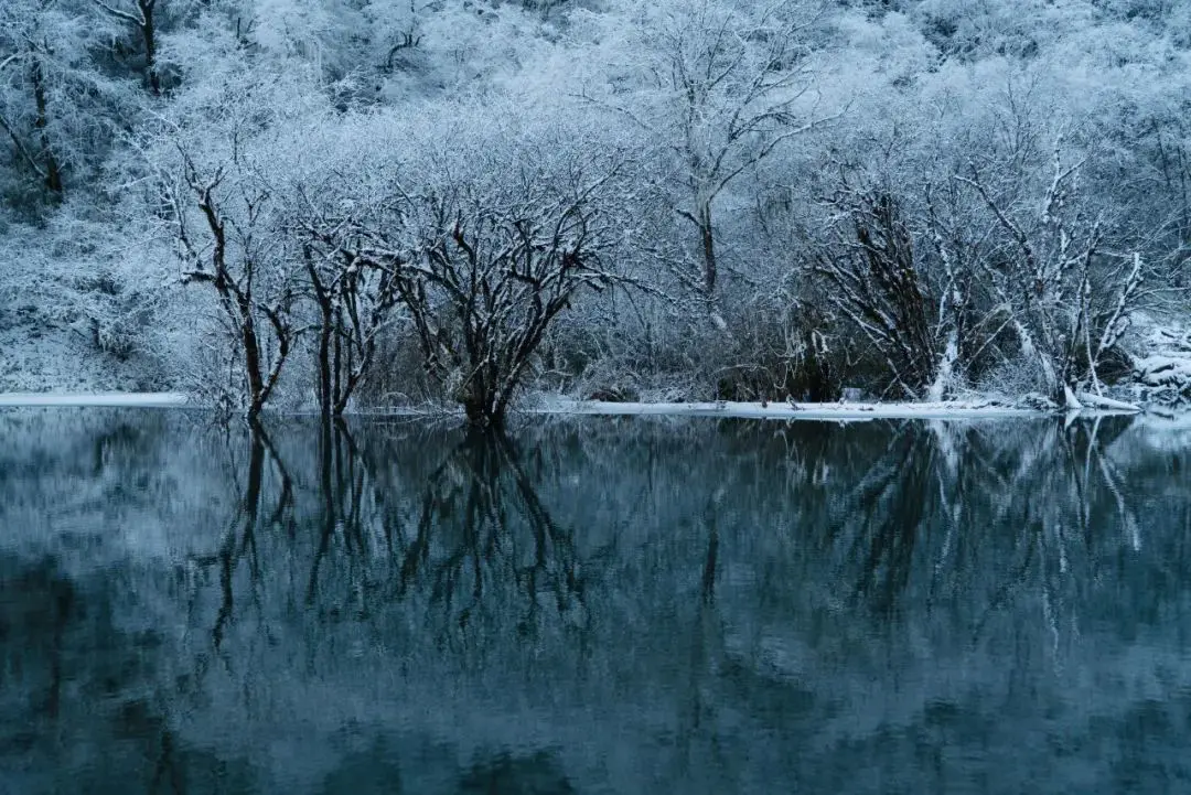 峨眉山地图_峨眉山地图高清版旅游地图_峨眉山地图高清版高清晰