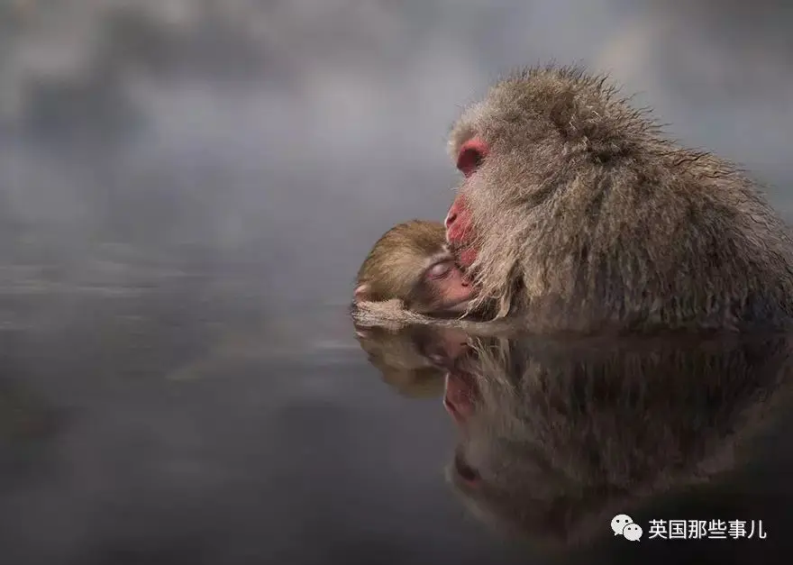 旅游照片图片大全大图_旅游照片图片男_旅游照片图片