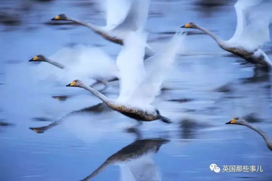 旅游照片图片_旅游照片图片男_旅游照片图片大全大图