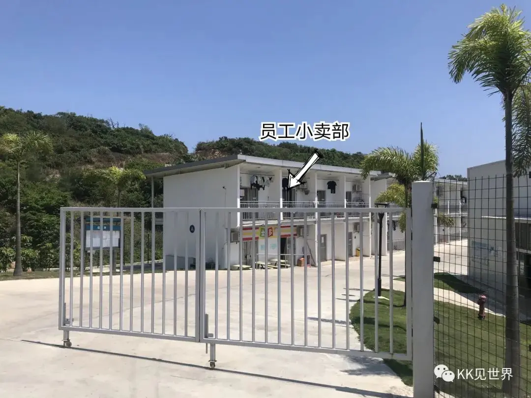 东澳岛自由行攻略_东澳岛旅游攻略_东澳岛攻略