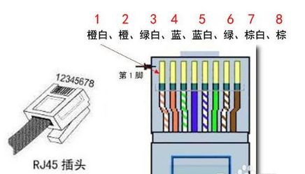 网线水晶头接法_网线水晶接头接线顺序_水晶网线接头法图片