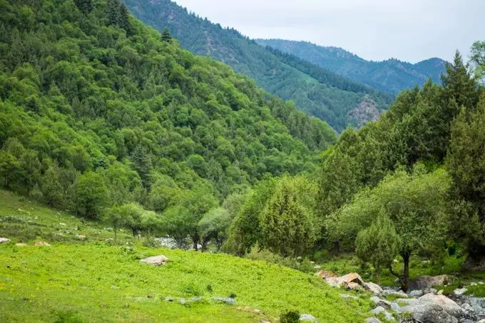 甘肃陇南旅游必去十大景点_去陇南旅游景点大全和最佳线路_甘肃陇南旅游线路图