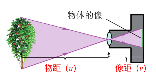 成像放大镜原理图解_放大镜成像原理_成像放大镜原理及应用