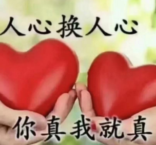 沪江小d日语_沪江小d日语在线翻译_沪江小d