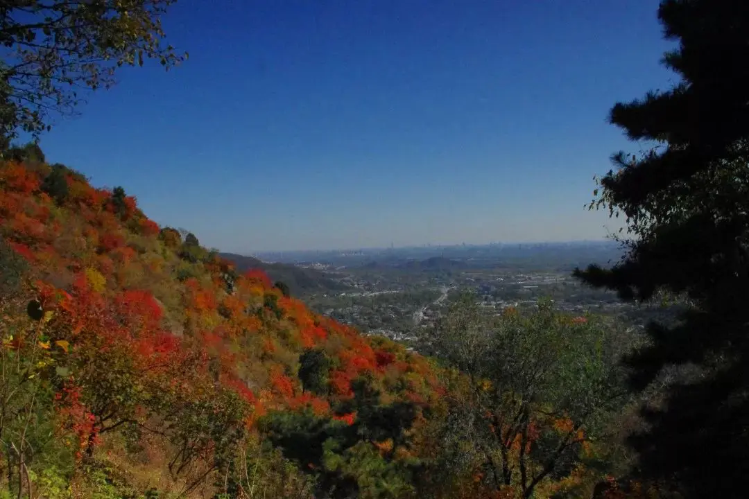 门票香山公园免费吗_门票香山公园免票吗_香山公园门票