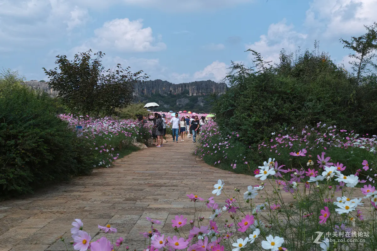 曲靖旅游景点_曲靖旅游景区_云南曲靖旅游主推景点