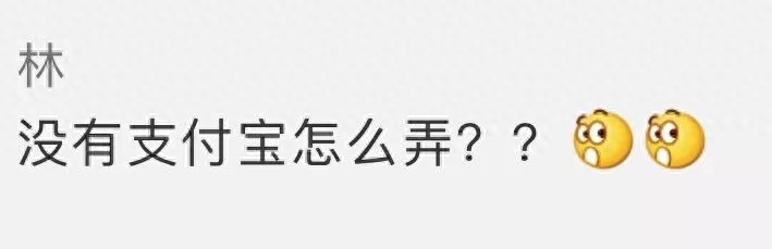 支付宝网页版在哪里打开_支付宝网页版是什么样子_支付宝网页版