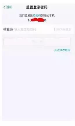 登录支付宝怎么设置密码_登录支付宝需要什么条件_登录支付宝