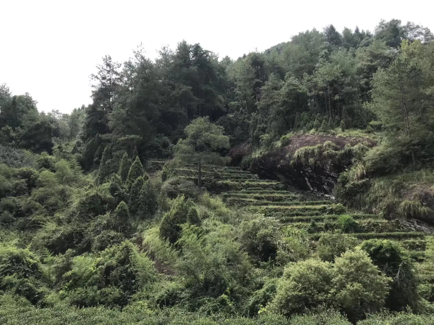 武夷山上住宿_武夷山自由行住宿攻略_武夷山住宿