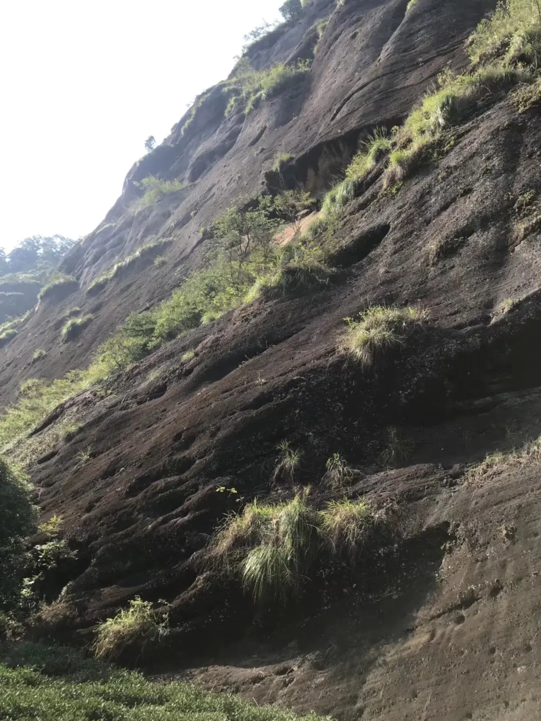 武夷山上住宿_武夷山自由行住宿攻略_武夷山住宿