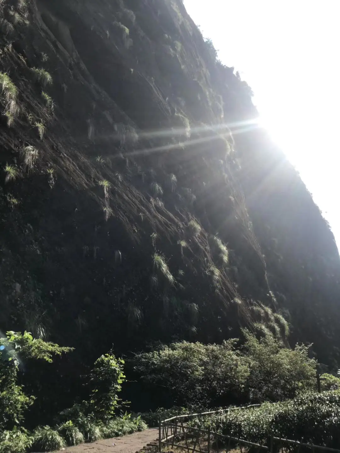 武夷山上住宿_武夷山自由行住宿攻略_武夷山住宿