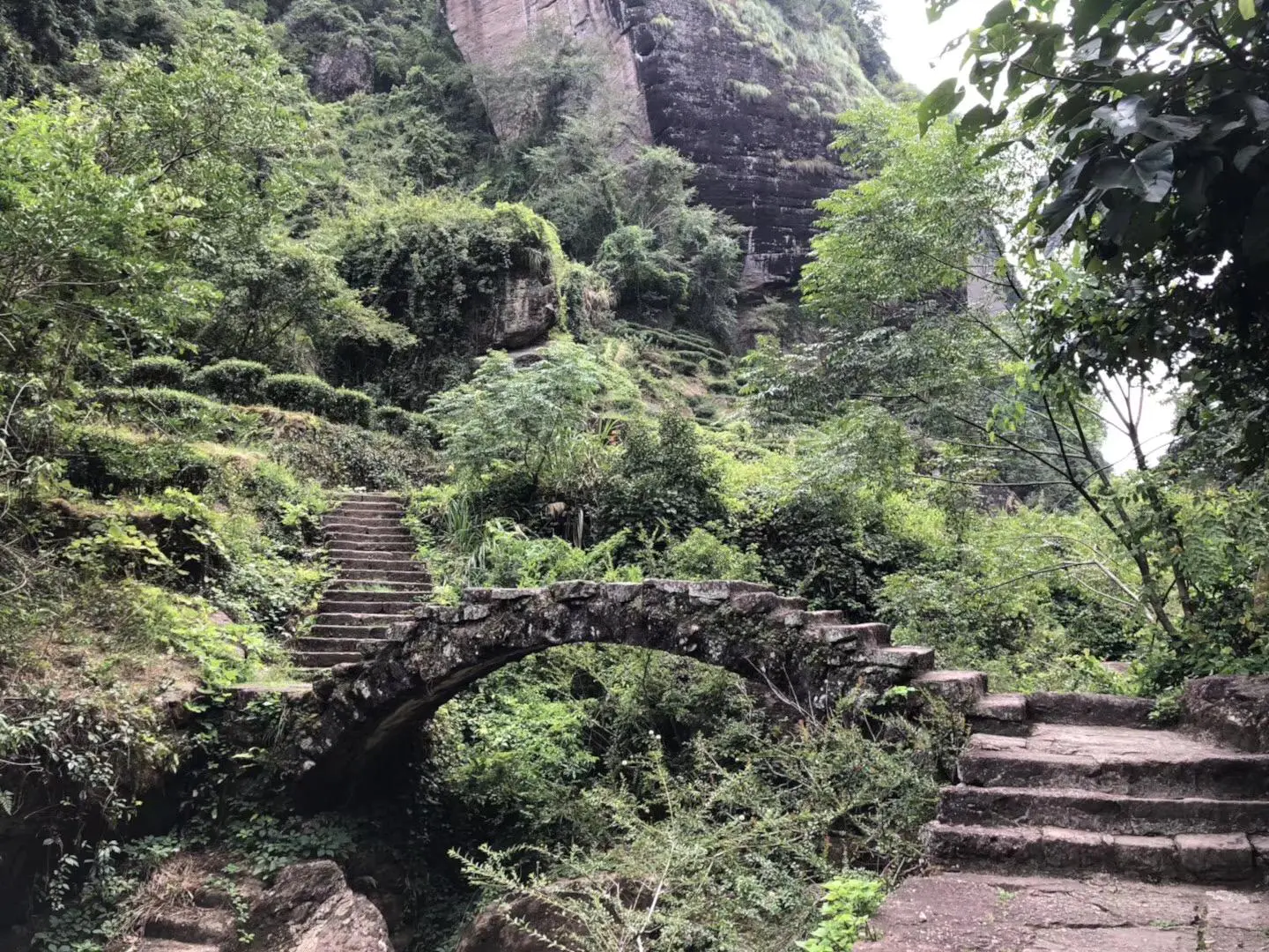 武夷山住宿_武夷山上住宿_武夷山自由行住宿攻略