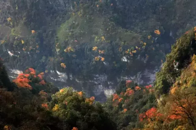 金河大峡谷漂亮吗_金口河区大峡谷宾馆_金口河大峡谷自驾游攻略