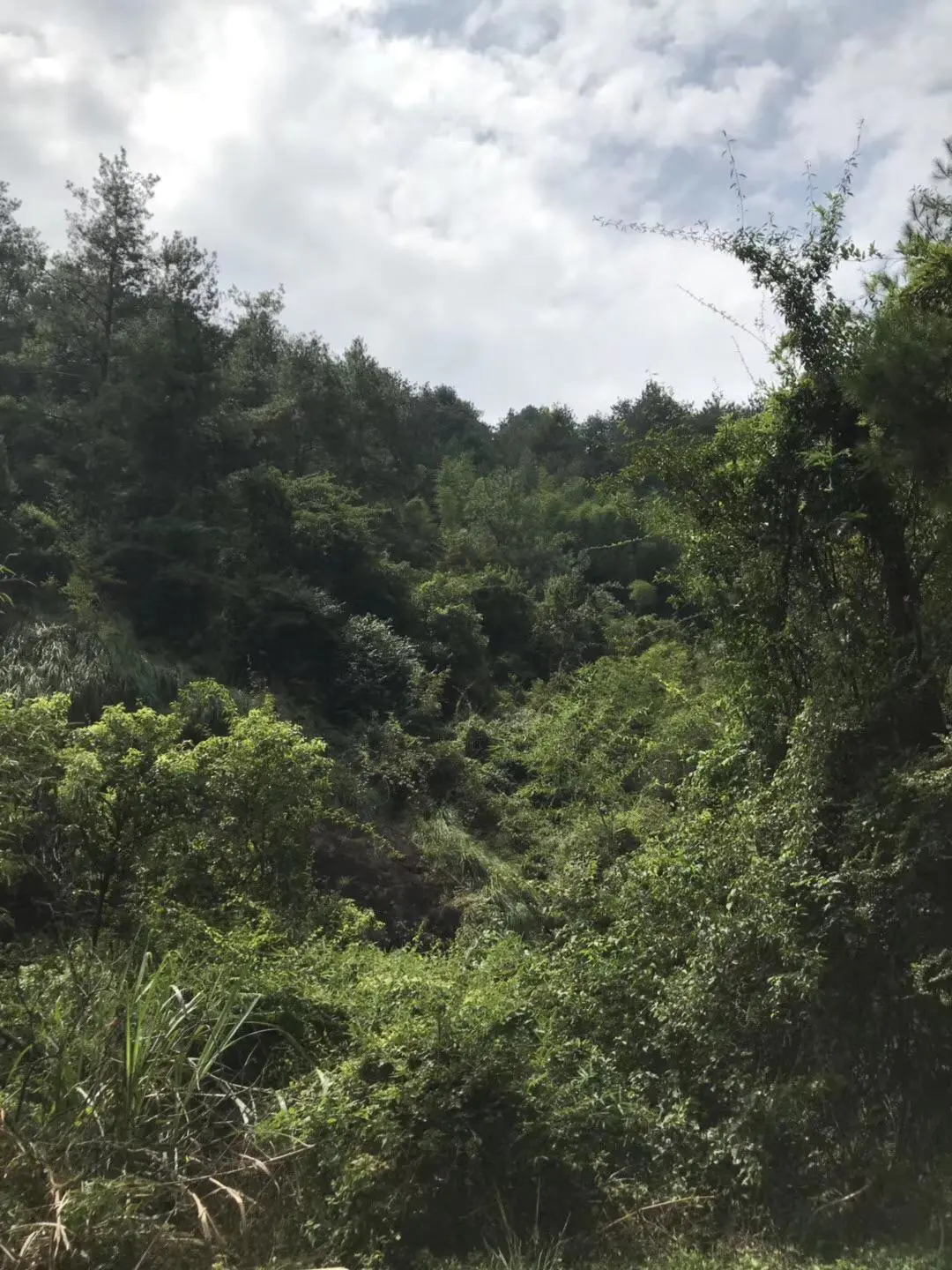 武夷山住宿_武夷山上住宿_武夷山自由行住宿攻略