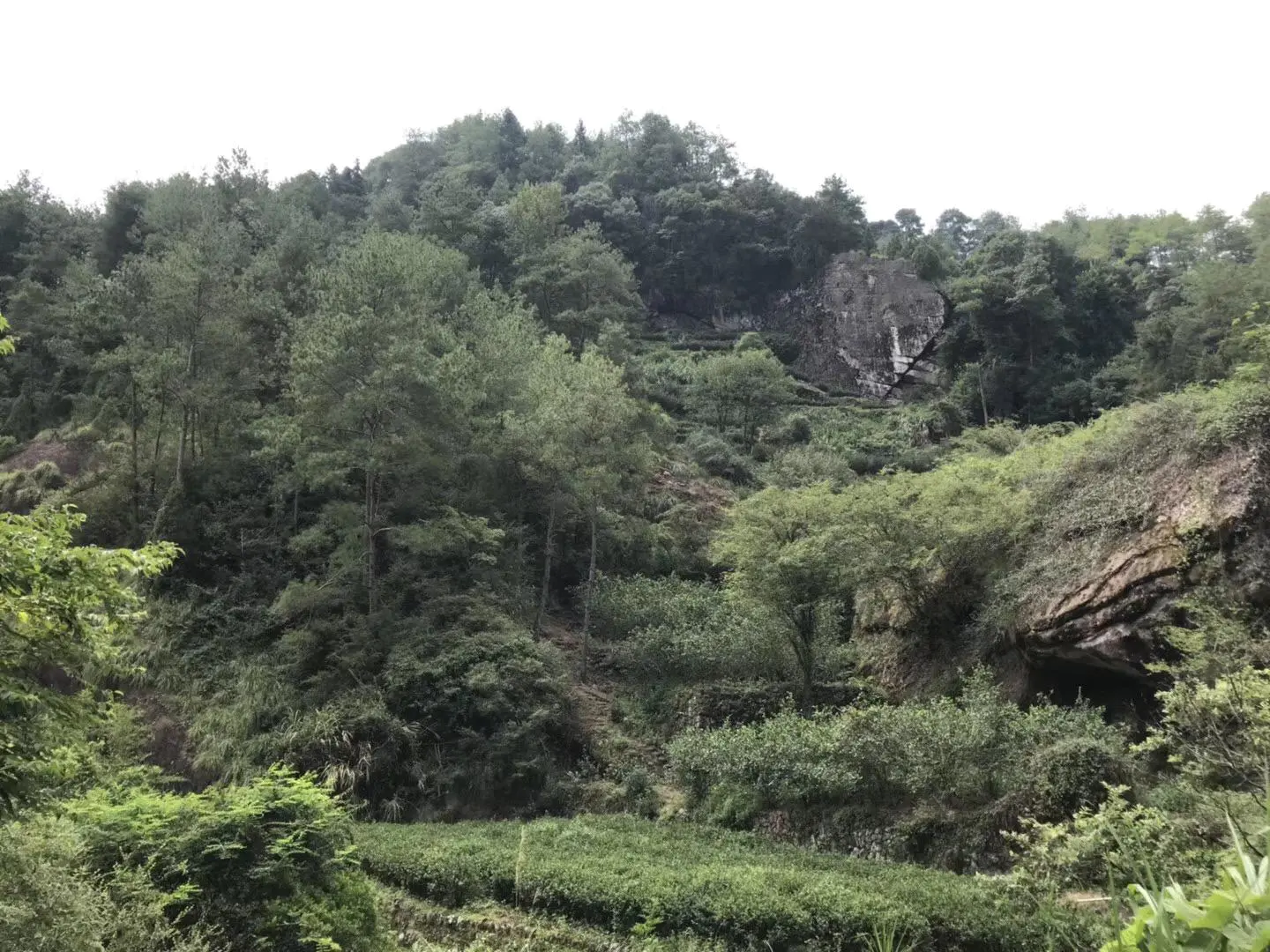 武夷山上住宿_武夷山住宿_武夷山自由行住宿攻略