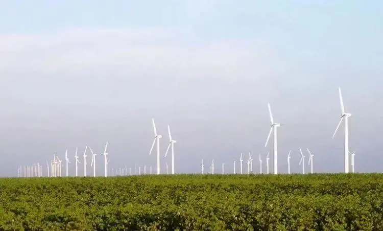 风力发电干活_风力发电不是人干的_风力发电是好是坏