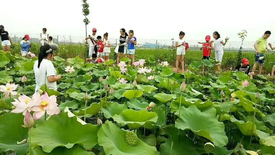 西瓜庄园价格_上海西瓜庄园儿童摄影_西瓜庄园儿童摄影电话