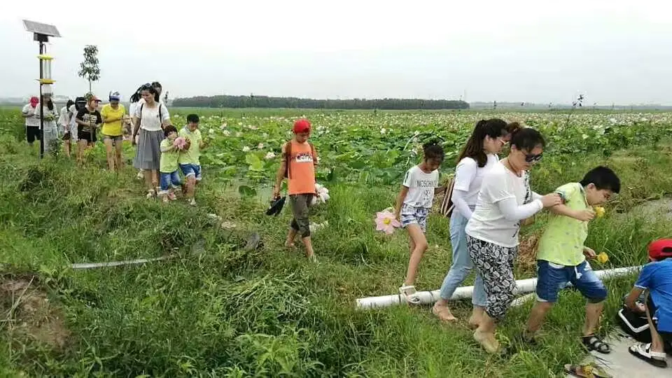 西瓜庄园价格_上海西瓜庄园儿童摄影_西瓜庄园儿童摄影电话