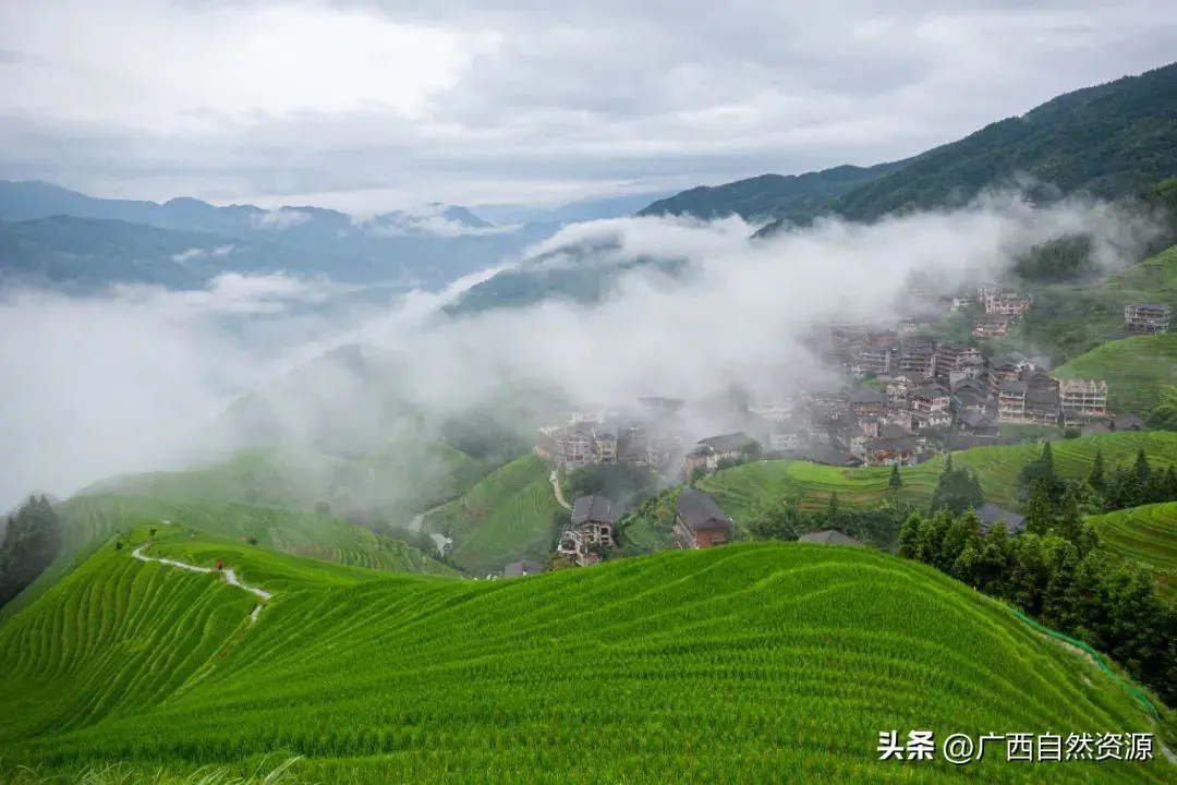 龙胜梯田观景台_龙胜梯田几点关门_龙胜梯田