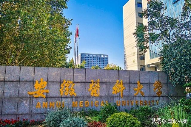 医药类大学最新排名_中医药大学排名前十,0,7,-1,中国十大中医药院校排名中国前十名中医药大学_招生...,https：//www.wyfx2014.com/news/1635691.html_医药专业学校排名