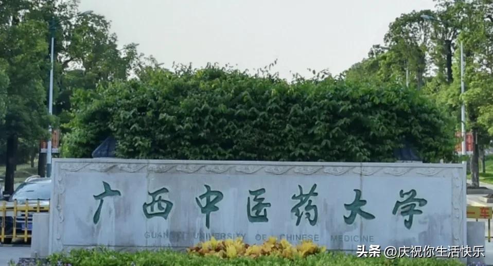 广西公办大专院校排名,0,4,-1,自治区专科学校排名榜名单南宁学校排行榜_招生百科...,https：//www.wyfx2014.com/news/1479978.html_南宁专科院校排名_南宁专科大学有哪些排名