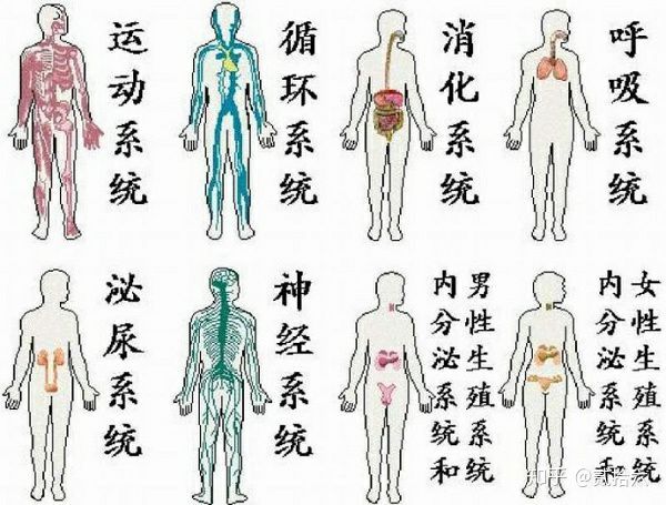 结构分化的方式和途径为_组织结构分化的方式和途径为,0,38,-1,组织结构分化的方式和途径为(探讨组织结构分化的方式...,http：//xingzuo.aitcweb.com/9356304.html_结构分化的方式和途径