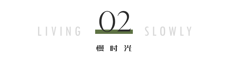 艺人金星的简介_金星个人资料,46,30,-1,金星个人资料简介(金星本来到底是男还是女),http：//sm.aipingxiang.com/zn/15312.html_金星个人简介全部