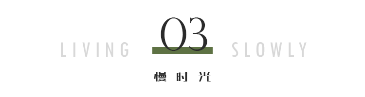 金星个人资料,46,30,-1,金星个人资料简介(金星本来到底是男还是女),http：//sm.aipingxiang.com/zn/15312.html_艺人金星的简介_金星个人简介全部