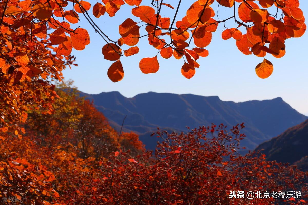 北京哪个月最热_北京冬天几月到几月_78月份适合去北京吗,0,16,-1,北京八月底热吗(北京八月底热吗冬天)_旅游-思埠百科,https：//www.sibuzyn.com/b/281598.html