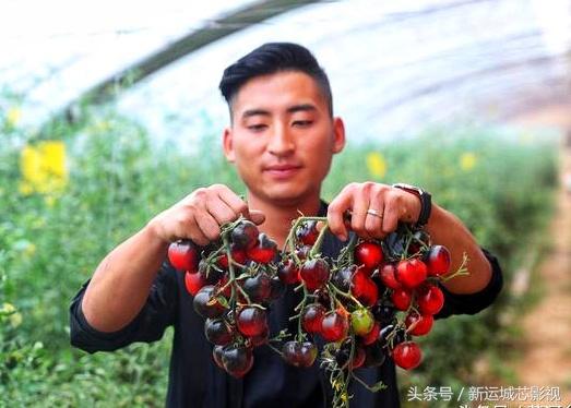 泰安西红柿价格行情_泰安西红柿种植区域_黑番茄市场价多少钱一斤,0,24,-1,今天泰安的西红柿价格行情 泰安西红柿批发基地_时事...,https：//www.sibuzyn.com/b/318222.html