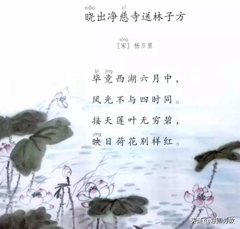 梨树的拼音声调怎么写_梨子树的拼音怎么写_梨树的拼音,0,1,1,51 51 1 1 1 1 1,720,1.36,梨树拼音怎么读 梨树拼音怎么拼写声调_竞价网,https：//m.jingjia.net/article/articlebfb