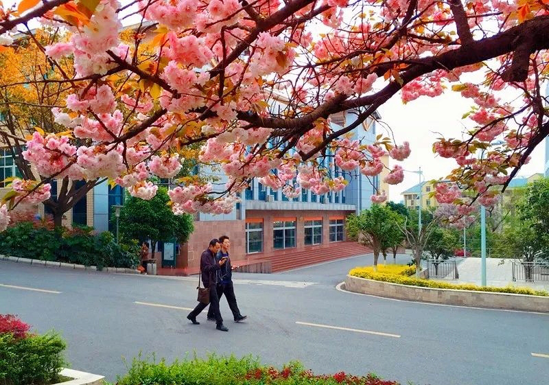 绵阳高级实验中学升学率_绵阳实验高级中学如何_绵阳实验高级中学好不好,0,16,-1,绵阳实验高级中学好不好绵阳实验高级中学升学率_美容...,https：//www.sibuzyn.com/b/242850.html