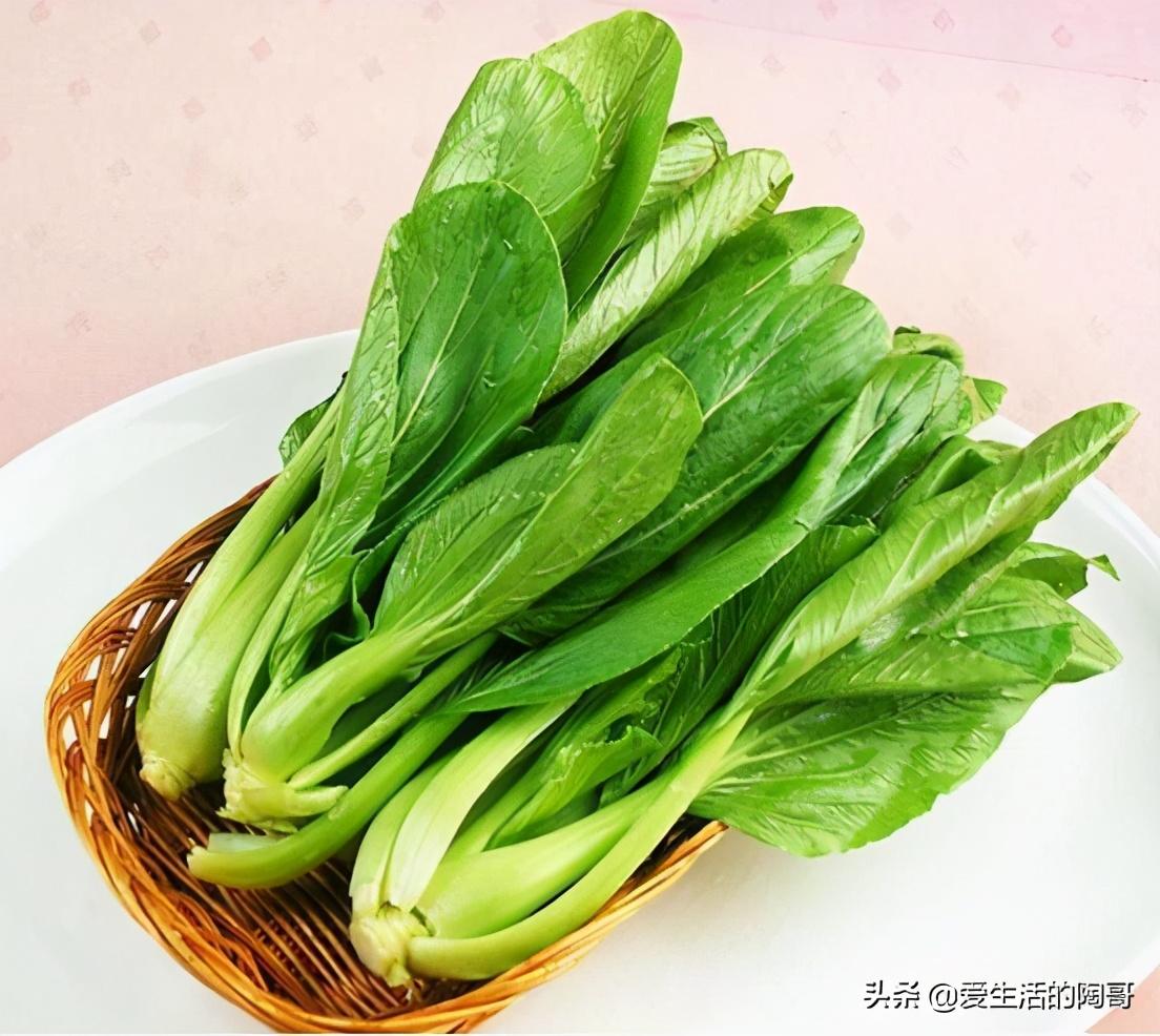 上海青炒什么好吃家常菜_上海炒青菜怎么炒才好吃_上海青怎么炒好吃又简单,0,50,-1,青菜上海青吃多了对身体有害吗_素炒上海青青菜怎么做...,https：//www.mooogu.cn/xinwen/935886.html