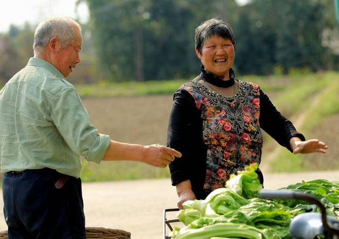 请客斩首收下当狗_请客杀头收下当狗_请客斩首