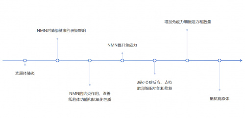 免疫治疗是怎么治疗的_免疫_免疫球蛋白